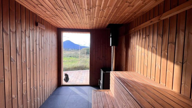 Sauna interior with an open door framing a mountain and grassland view, a cat on the deck